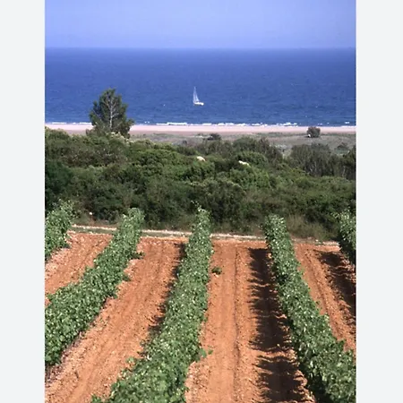 Des Vignerons De La Clape Avec Piscine Partagee